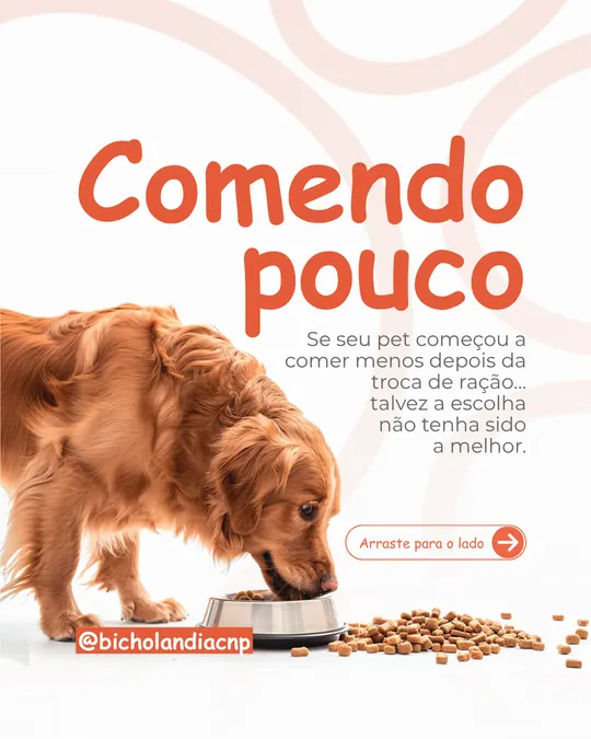Carrossel Bicholândia: Comendo pouco