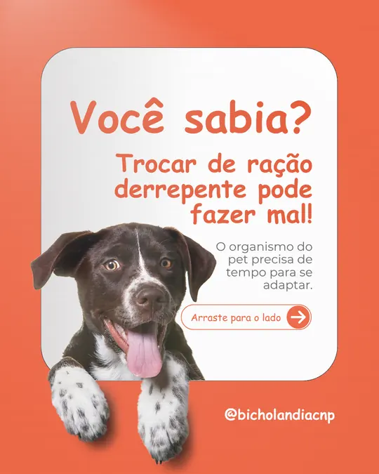 Carrossel Bicholândia: Troca de ração