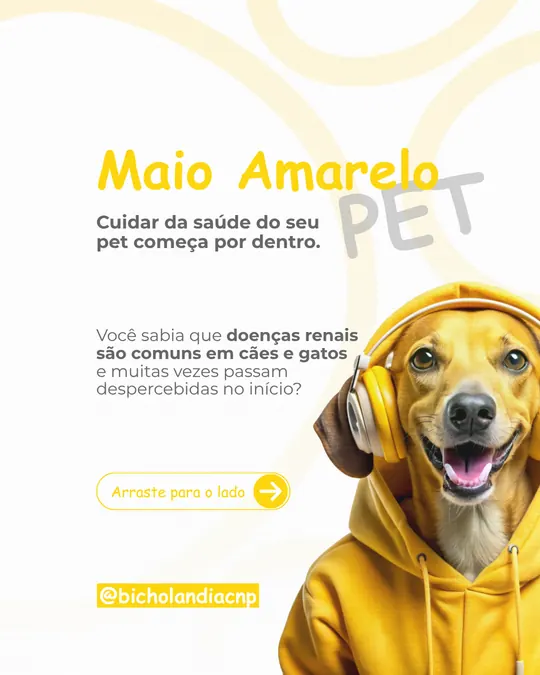 Carrossel Bicholândia: Maio Amarelo Pet