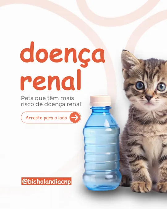 Carrossel Bicholândia: Doença renal