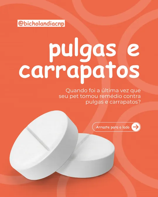 Carrossel Bicholândia: Pulgas e carrapatos